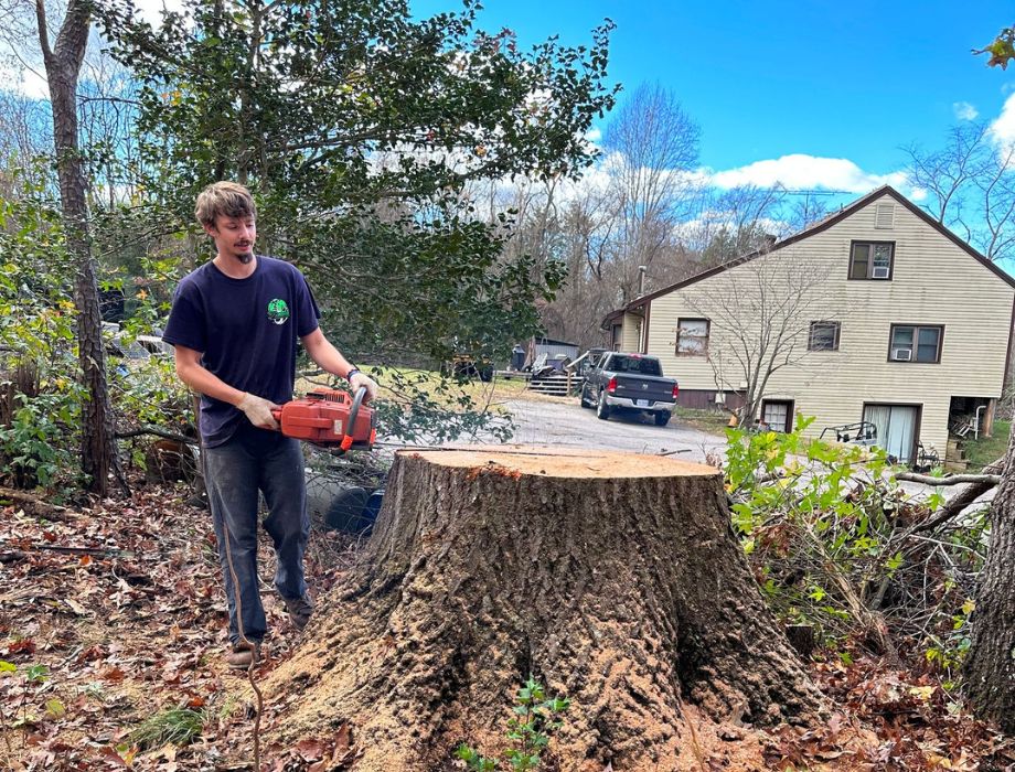 zzoutdoorsolutions-website-tree-removal-section-man-chainsaw-stump (3)