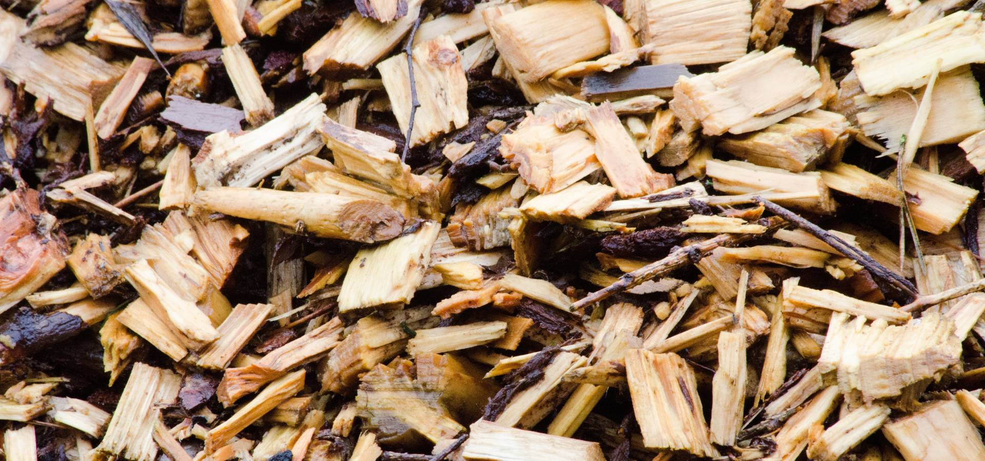 Moist brown and tan woodchips of various sizes with small twigs. There are numerous uses for woodchips like these.