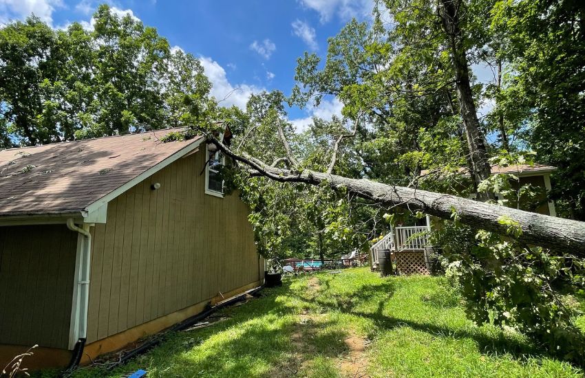 A large fallen tree lays on the roof of a brown home against a partly cloudy blue sky. This situation highlights the issue of tree removal responsibility in Virginia.
