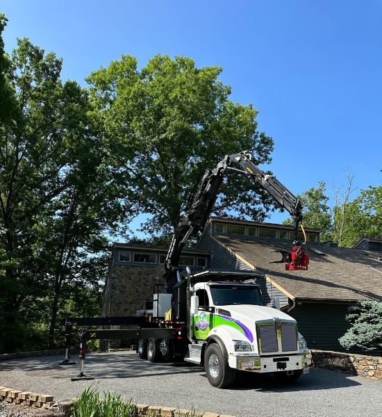 ZZoutdoorsolutions-website-tree-pruning-section-house-truck