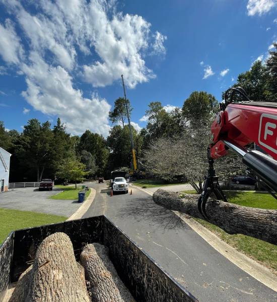 ZZoutdoorsolutions-website-treeremoval-section-logs-truck