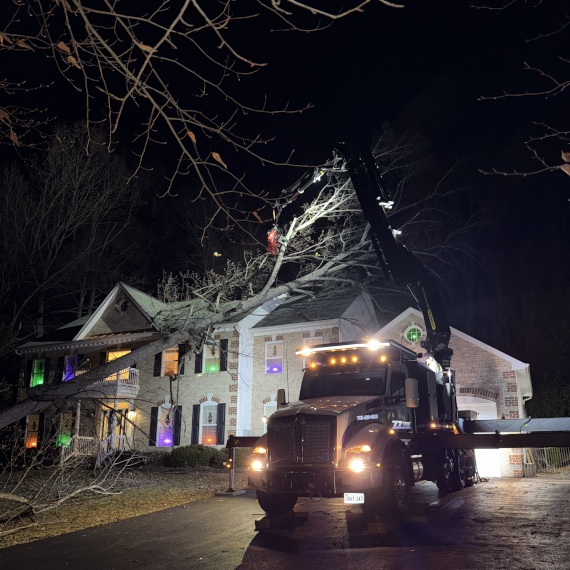 Emergency Services by ZZ Tree