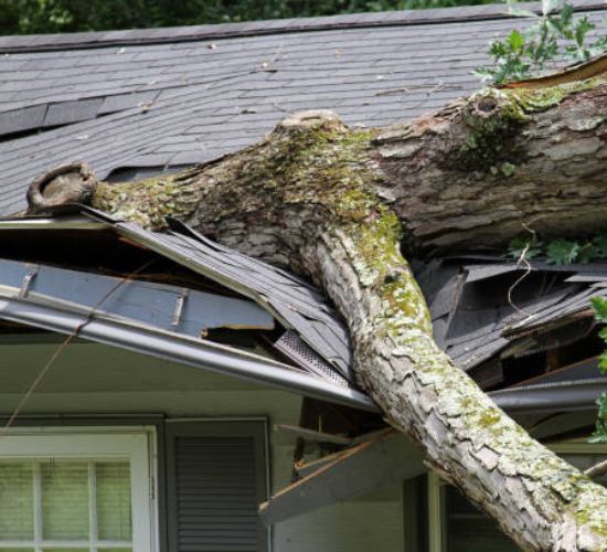zzoutdoorsolutions-website-emergency-service-section-tree-on-roof