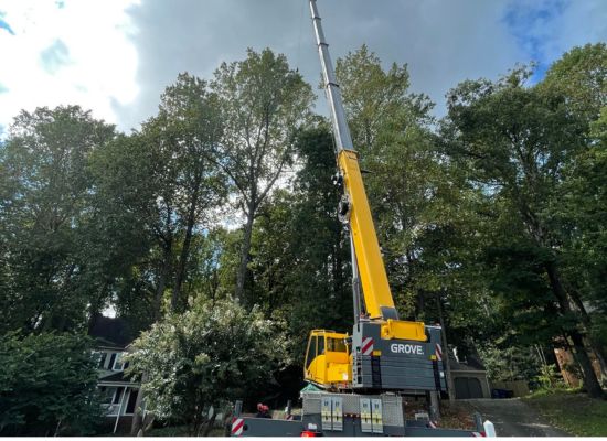 zzoutdoorsolutions-website-homepage-section-tree-removal-2