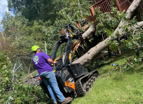 zzoutdoorsolutions-website-homepage-section-tree-removal