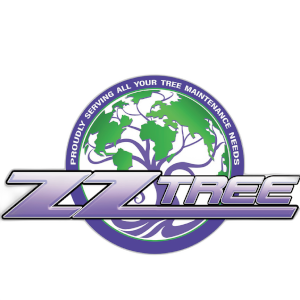 ZZ Tree: Quality Tree Services in Central & Northern Virginia
