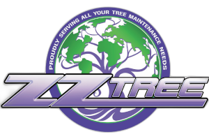 ZZ Tree: Quality Tree Services in Central & Northern Virginia